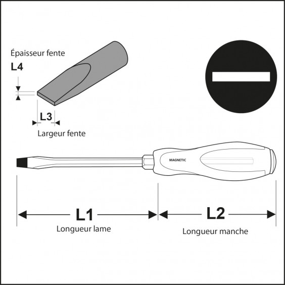 Tournevis Plat Lame Traversante 5,5x100 mm KARX