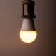 Ampoule LED E27 12W blanc chaud