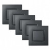 NOANE Lot de 5 Interrupteurs Va et Vient Complets Anthracite 