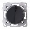 Interrupteur Va et vient + Poussoir Droite Anthracite EPURE