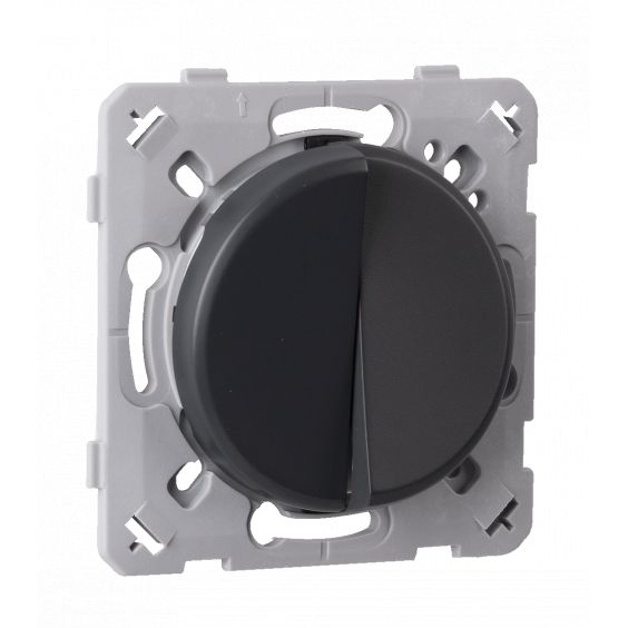 Interrupteur Va et vient + Poussoir Droite Anthracite EPURE