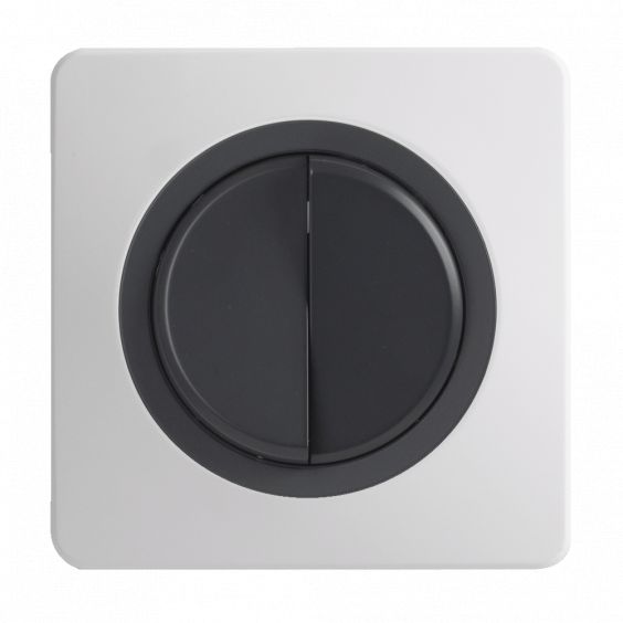 OHMTEC Epure Interrupteur Va et vient + Poussoir Gauche Anthracite 