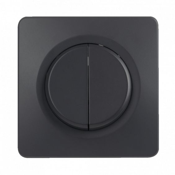 OHMTEC Epure Interrupteur Va et vient + Poussoir Gauche Anthracite 