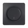 OHMTEC Epure Interrupteur Va et vient à voyant Anthracite 