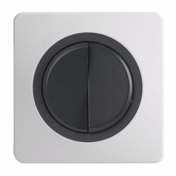 OHMTEC Epure Interrupteur Va et vient + Poussoir Droite Anthracite 
