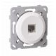 Prise Rj45 Cat6 Blanc EPURE