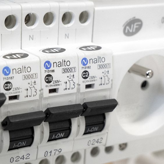 Disjoncteur à vis 10A - 1P+N - 3kA NF NALTO