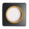 OHMTEC Epure Plaque Simple Gris Anthracite Insert Bronze 